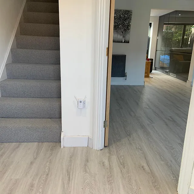 LVT and carpet